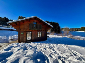 Chalet Les 3 Lueurs, authentique au pied de pistes Xonrupt-Longemer